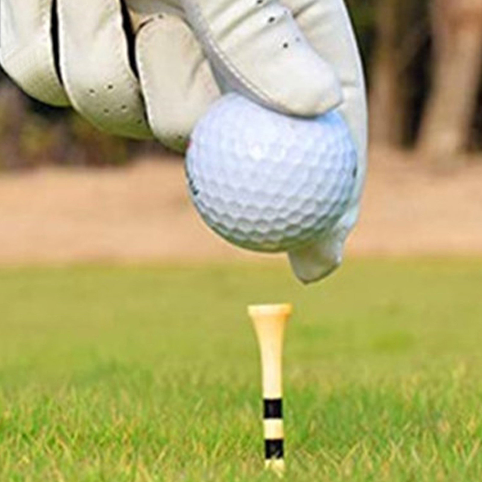 100 Pcs Golf Equipment Ball Te - огляд і ціна Golf Equipment Holder